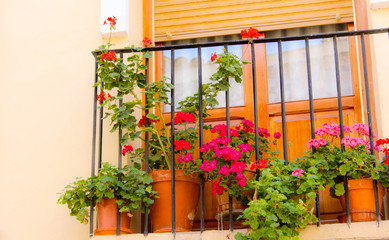 FLORES EN BALCON