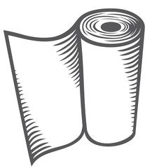 paper towel (kitchen paper roll)