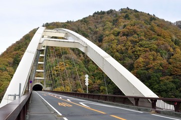 紅葉の大棚沢橋