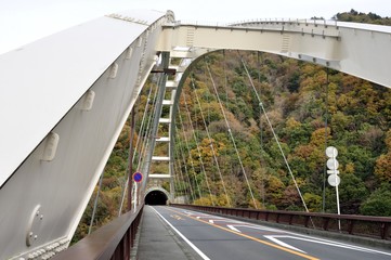 Fototapeta premium 紅葉の大棚沢橋