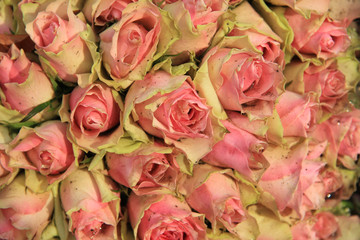 Wedding decorations with pink roses