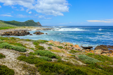 Fototapeta na wymiar Cape of Good Hope Nature Reserve in Cape Peninsula National Park, South Africa. Cape Point on background.