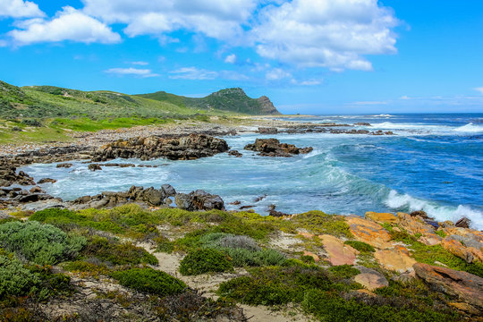 Landscape of Cape of Good Hope Nature Reserve in Cape Peninsula National Park, South Africa. Cape Point on background.