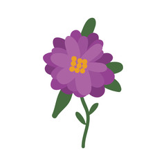 beautiful natural purple flower icon. vector illustration