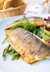 grilled seafood and vegetables-french cuisine dish with many veg