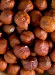 hazelnut background