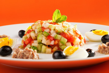 Tunisian salad with cucumbers, tuna fish, eggs and olives. Horiz