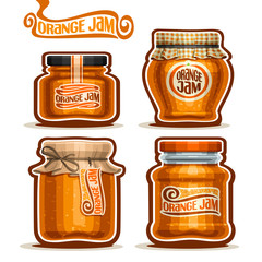 Vector logo Orange Jam in glass Jars with paper lid, rustic Pot home made orange zest jams, twine rope bow, homemade fruit jam jar, farm jelly pot with label, checkered cloth cap, isolated on white.