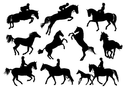 Horse and rider vector silhouettes set