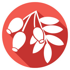 red rose hip with leaves flat icon