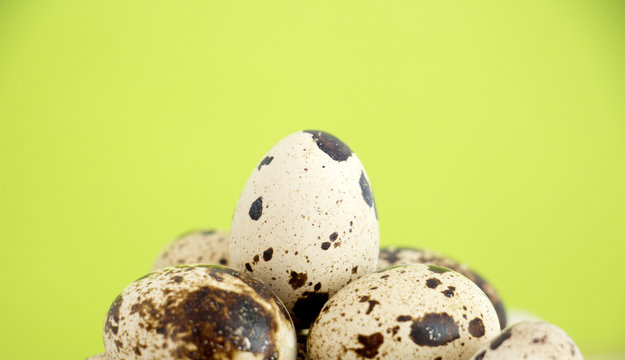 japanese quail eggs