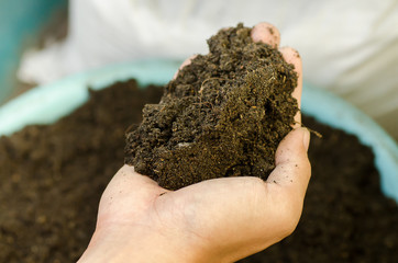 Soil used in agriculture holding by hand