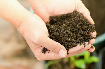 Soil used in agriculture holding by hand