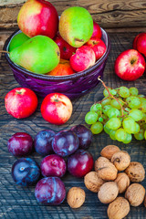 autumn fruits
