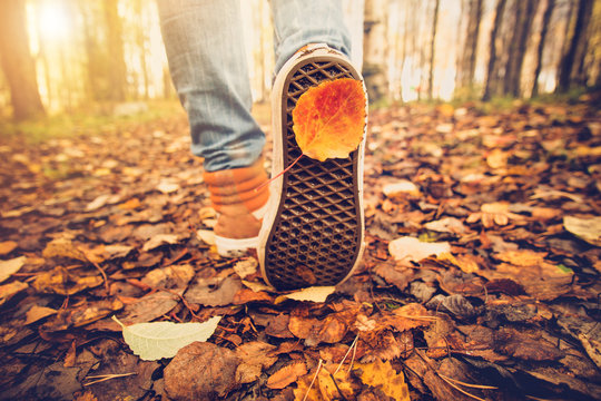 Feet Sneakers Walking On Fall Leaves Outdoor With Autumn Season Nature On Background Lifestyle Fashion Trendy Style