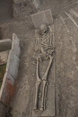 Skeleton in archaeological site of Viminacium Roman city Serbia