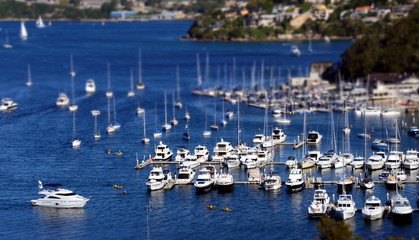Moored yachts at The Spit (Sydney, NSW, Australia) © katacarix