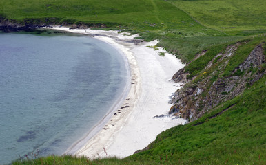 Fototapeta na wymiar Seals on a beach on the west coast of the Main Shetland Island, which is located northeast of the mainland of Scotland, United Kingdom