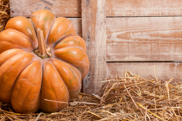 Autumn Pumpkin Thanksgiving Background . Orange pumpkins over wooden table.Pumpkins and straw in old barn