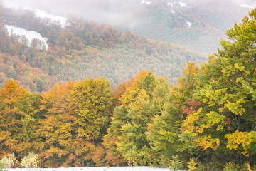 The slope with snow and beautiful, colorful autumn trees