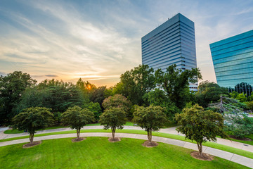 Fototapeta na wymiar Trees and modern buildings in Columbia, South Carolina.