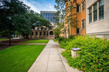 Obraz premium Walkway and the exterior of Trinity Episcopal Cathedral, in Colu