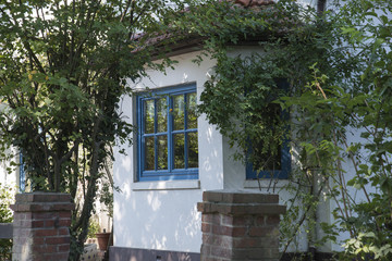 blaues Fenster in weisser Mauer umrahmt von Sträuchern in Worpswede