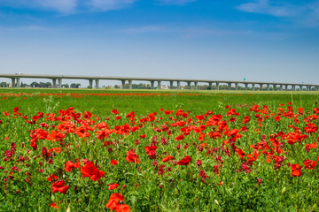 Cecina - Motorway from Rosignano Solvay to Livorno, Tuscany, Italy