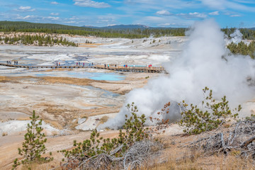 Thermal feature Yellowstone National Park