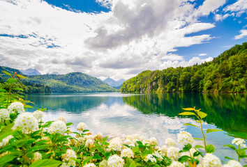 The Alpsee is a lake in Bavaria, Germany.