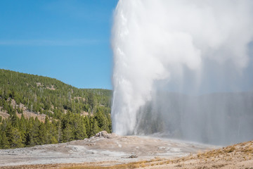 The Old Faithful erupting in Yellowstone National Park