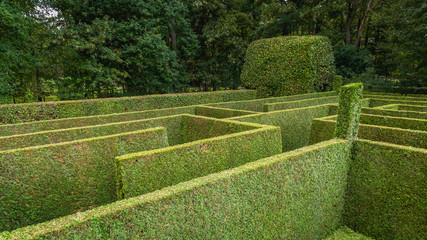 Natural hedge labyrinth maze
