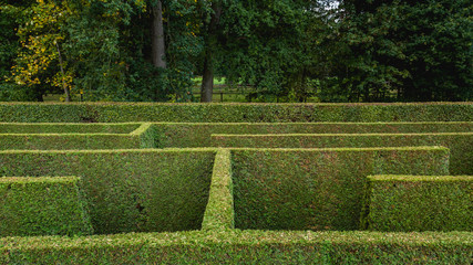 Natural hedge labyrinth