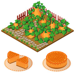 umpkins in the garden and pumpkin pie. Vector icon set. Isometric view.
