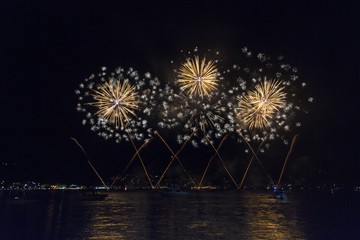 fireworks over the lake