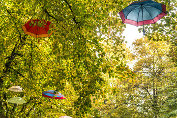 Umbrella on the trees. Autumn.