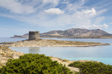 Fototapeta premium Sardinia - Stinting - La Pelosa
