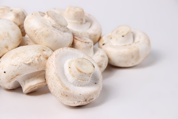 Champignon mushroom