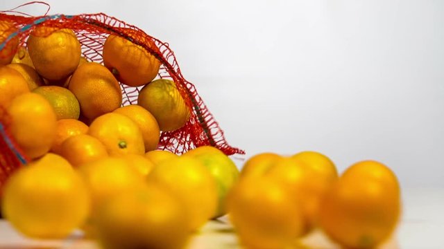 Red sack of orange tangerines falls down and fruits get out of it. On white background. Slow motion
