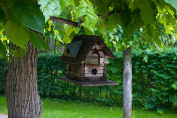 Birdhouse without birds. Empty wooden feeder on the green tree