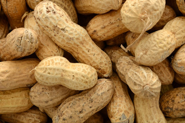 roasted in-shell peanuts isolated on the white background