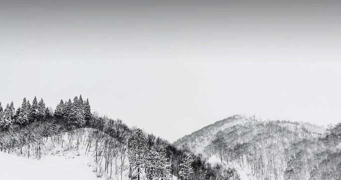 view from gala yuzawa ski resort : black and white picture