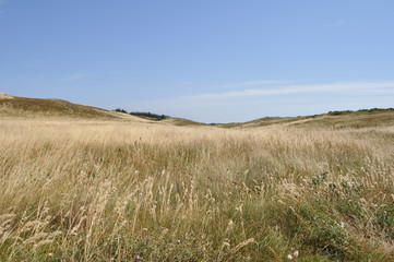 Paysage de la campagne française