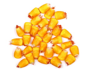 kernel corn isolated on white background