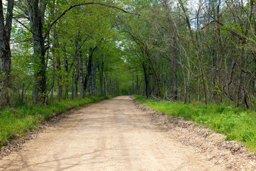 Dirt Road