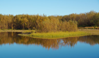 Fall River, reflected in the water autumn trees.