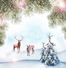 Winter background. winter forest