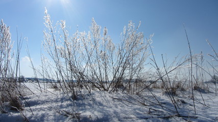 Winterland
