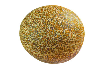 Melon insulated on white
