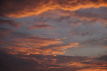 Skies